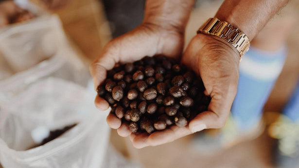 Dark Roast Coffee And Its Health Benefits